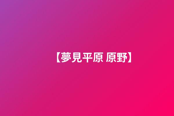 【夢見平原 原野】